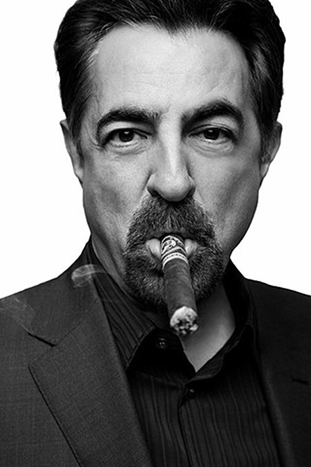 乔·曼特纳 Joe Mantegna照片