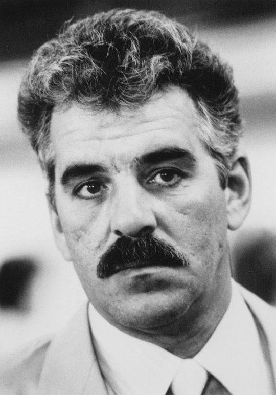 丹尼斯·法里纳 Dennis Farina照片