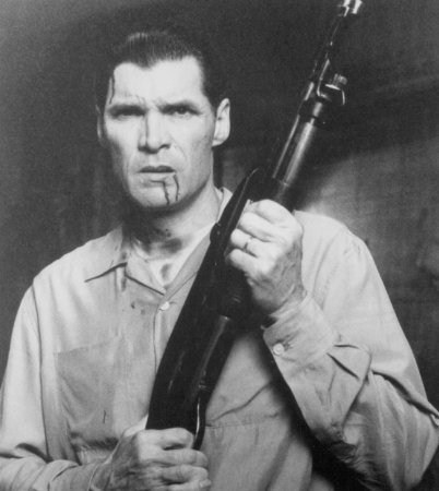 埃沃雷特·麦克吉尔 Everett McGill照片