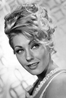 Judi West照片