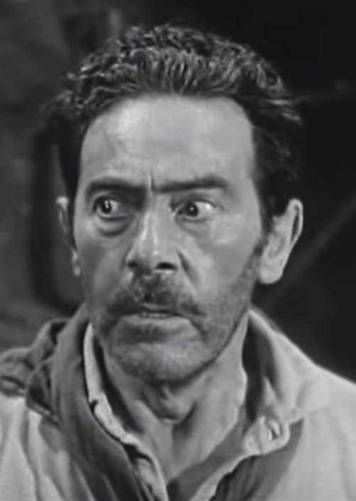 查尔斯·瓦根海姆 Charles Wagenheim照片