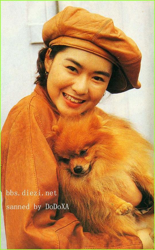 陈淑兰 Sheila Chan照片