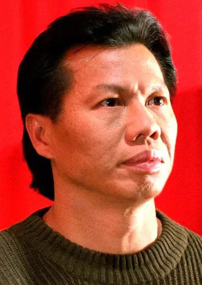 杨斯 Bolo Yeung照片