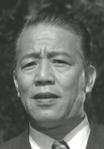 王引 Yin Wang照片